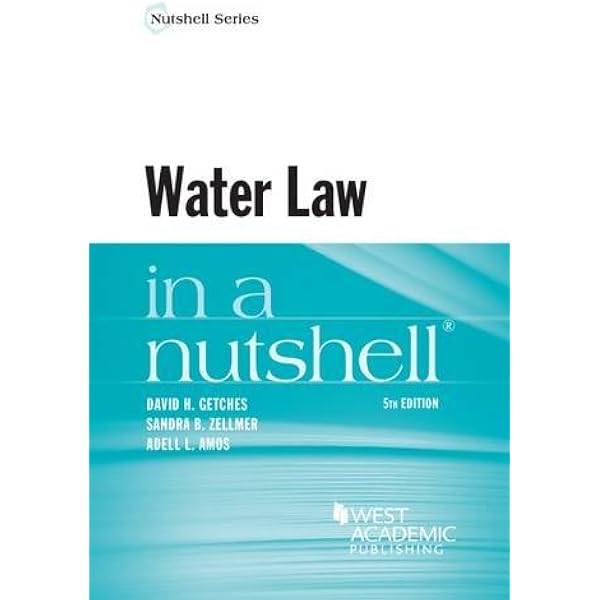 語学+参考書 The Japanese Legal System in a Nutshell (Nutshells) The Japanese Legal System in a Nutshell: Jones, Colin, Ravitch